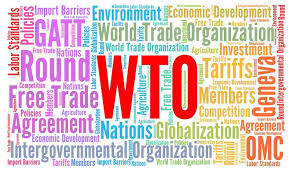 wto1