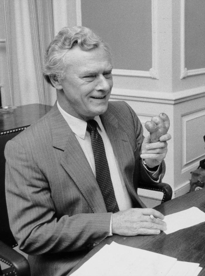 Schlüter kartoffelkur