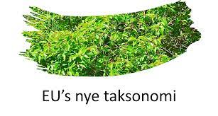 Taksonomi